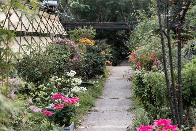 坐地铁1号线攻略,深圳1号线游玩攻略免费