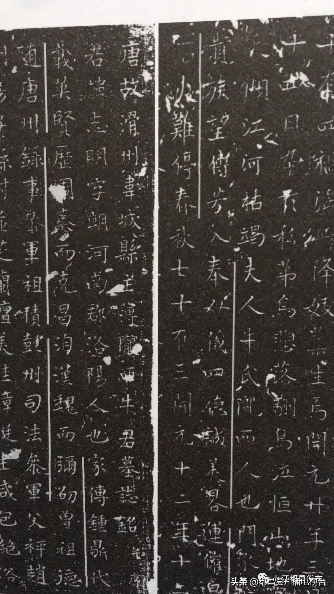 传家风立家规扬家训,传家训立家规扬家风