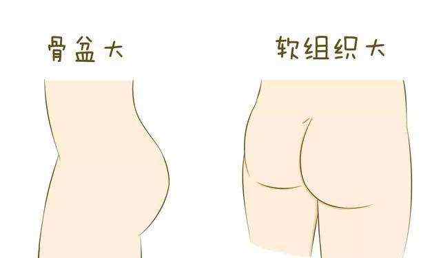 屁股大好生娃有依据吗,屁股大的生孩子有什么好处
