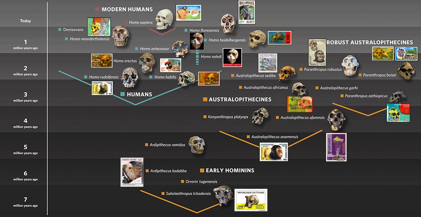 存在上亿年的虱子为何突然不见了,虱子灭绝了为什么消失不见了