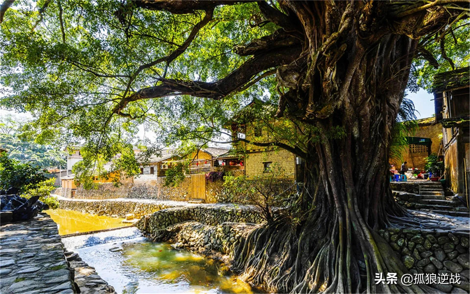福建漳州南靖县云水谣景区,云水谣是漳州南靖的一个小镇