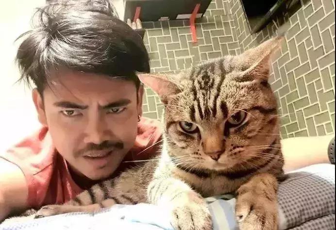 养了三年的猫突然想攻击我,养了两年的猫对我特别防备