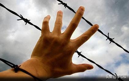 p2p行业中的庞氏骗局是什么样的,为何p2p行业成为庞氏骗局的温床