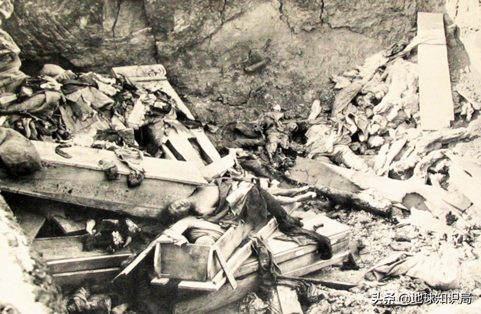 1905年东北鼠疫是如何控制的,熟悉1910年的东北鼠疫事件