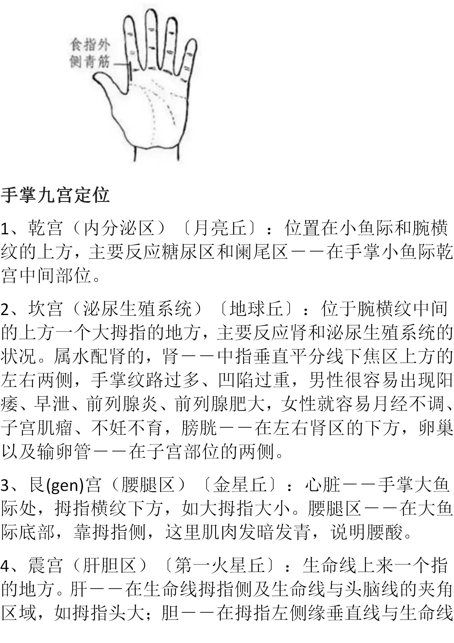 蔡洪光手诊九宫定位图,九宫手诊脏腑图怎么样好记