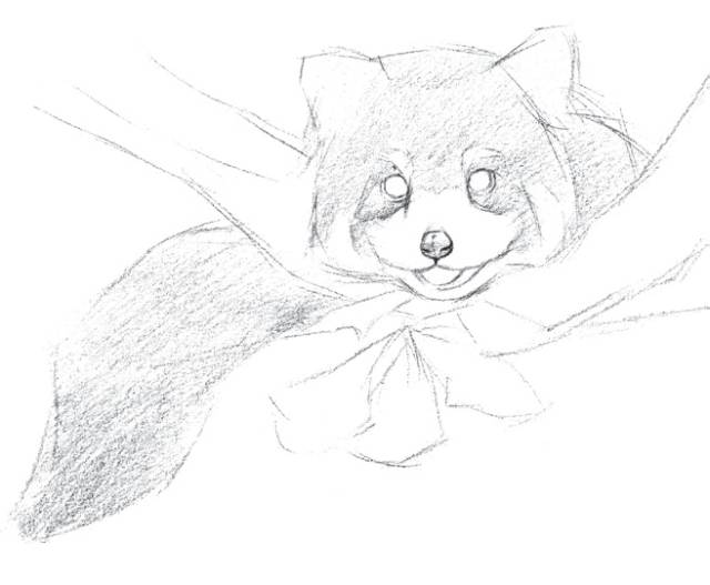 怎么画戴着红领巾的小熊猫,画一只小奶猫超级简单