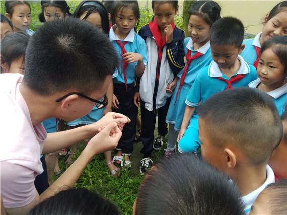 那些从小喜欢昆虫，又得到支持和尊重的孩子，活得到底有多爽？