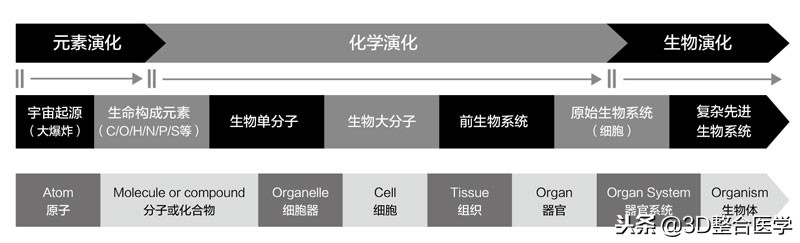 医学科普3d合集,史上最全3d医学动画下载网