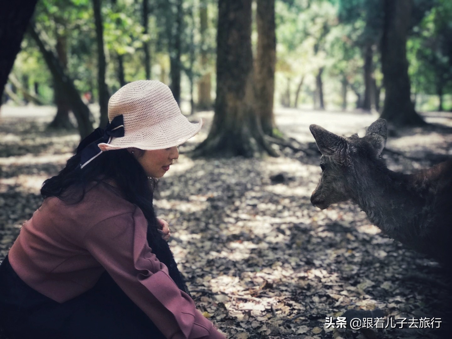 1月日本关西旅游攻略,日本关西自由行全程攻略