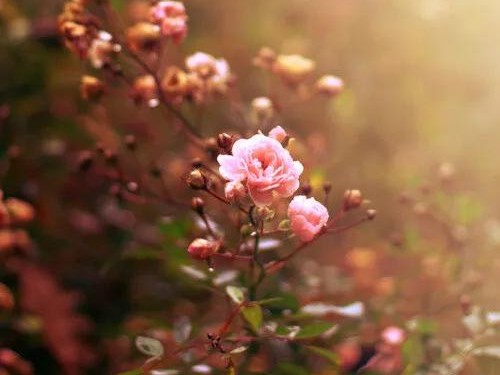 结婚7年老公越来越对我不好,结婚7年被老公宠坏了