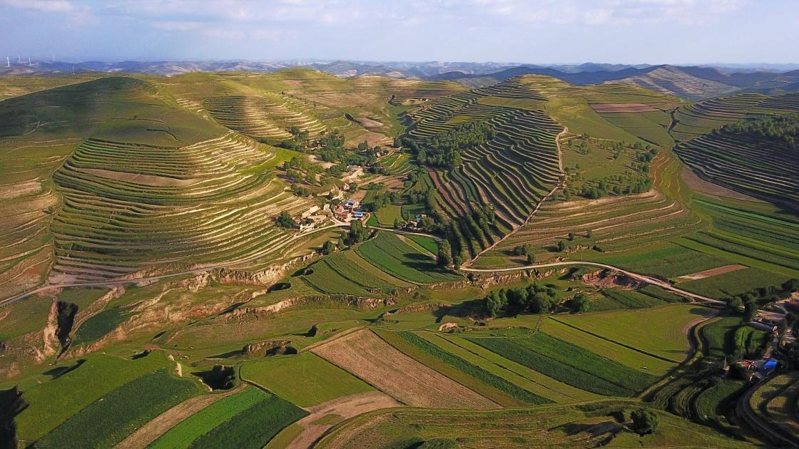 一代天骄成吉思汗只识弯弓正确吗,一代天骄成吉思汗纪录