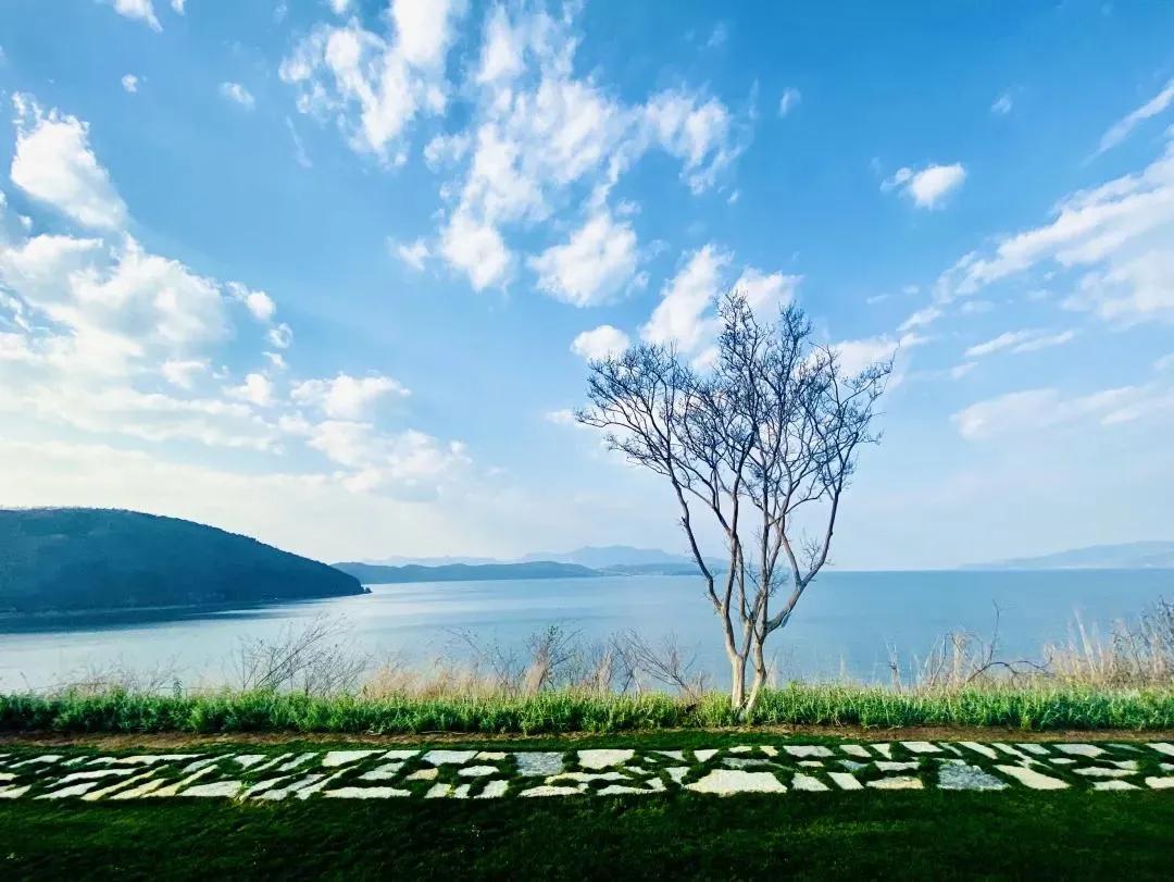 等一个人陪我去湛江,等一个人陪我去旅游