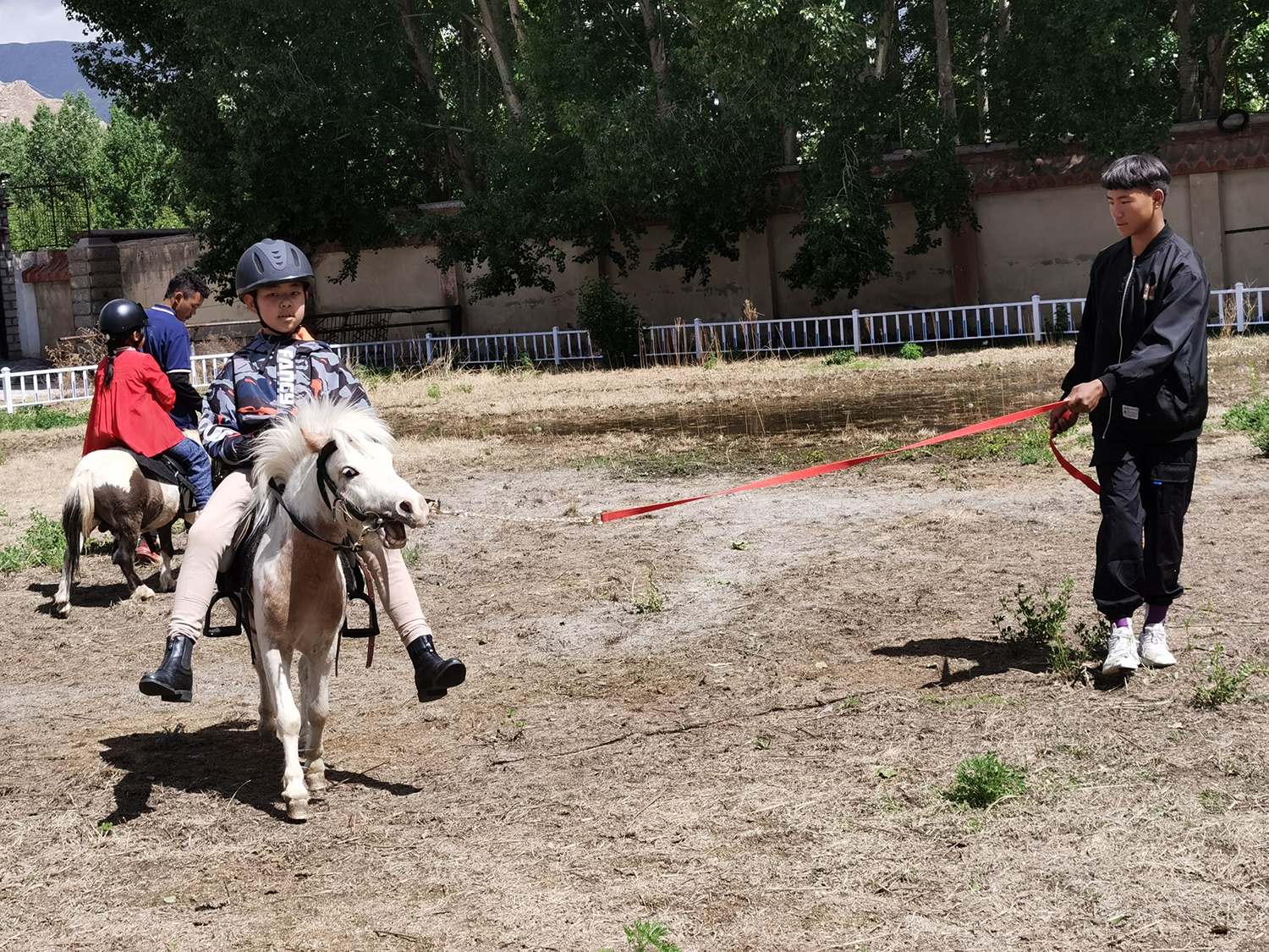 民族民间体育项目展示,北方特色传统体育项目