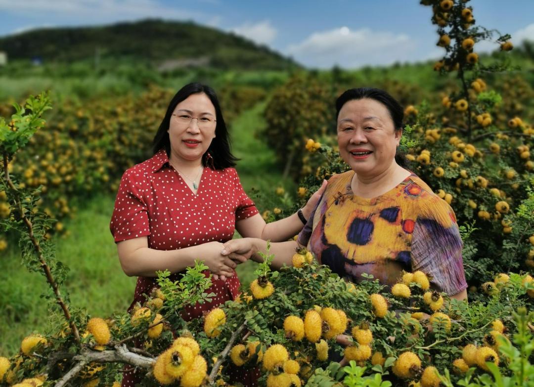 与你同行企业,与您同行企业宣传片