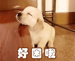 肾虚吃腰子能补肾吗,肾亏腰疼吃枸杞有用吗