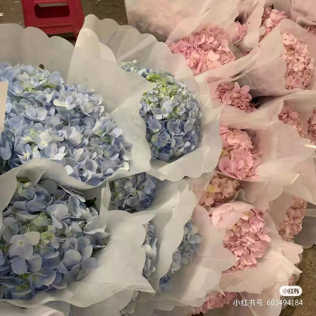 昆明春天赏花航拍,昆明添一赏花打卡点