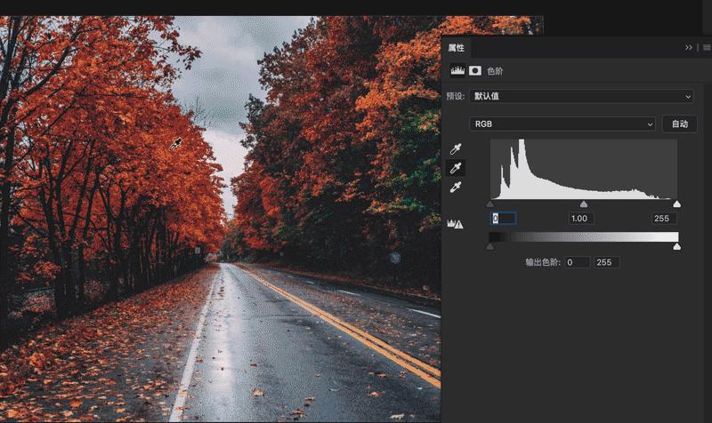 ps怎么用吸管调整白平衡,21版ps如何校正图片的白平衡