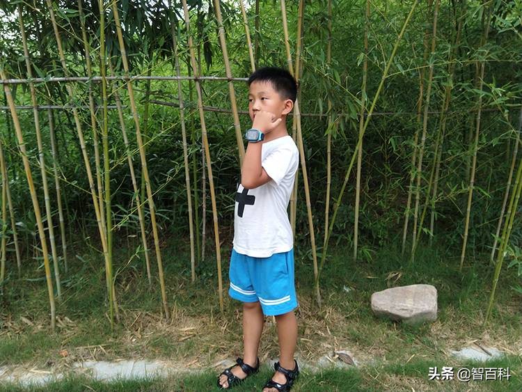 360儿童手表p1pro和9xpro的区别,360儿童手表p1pro与9xpro区别