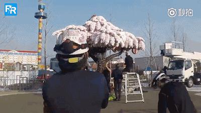 dk系列书籍六岁孩子适合入手哪些,dk儿童认知书推荐