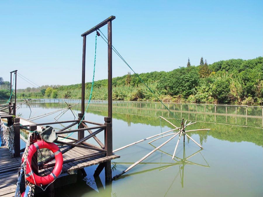 沙家浜景区大闸蟹在哪里,秋天爱上上海的理由大闸蟹