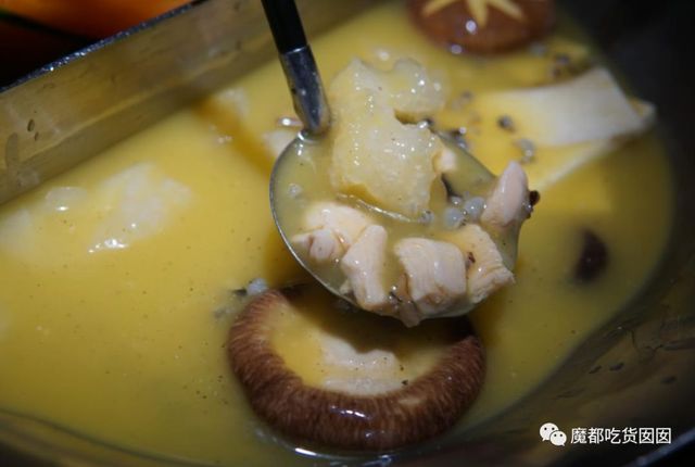 重磅收藏|魔都最全花胶鸡测评，我们为此吃掉200斤花胶鸡！