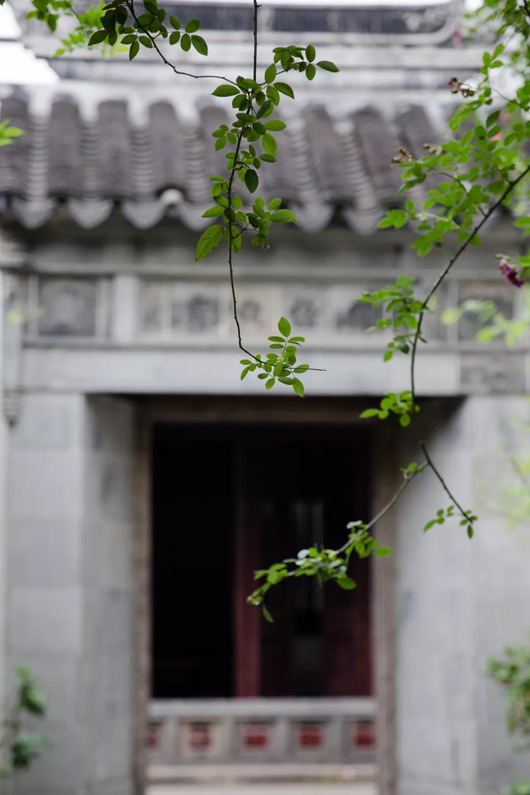 苏州园林静谧之美,苏州小众园林