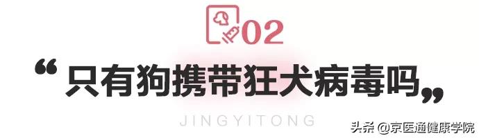 被猫狗抓伤咬伤怎么办,被猫狗抓伤第一步应该怎么处理