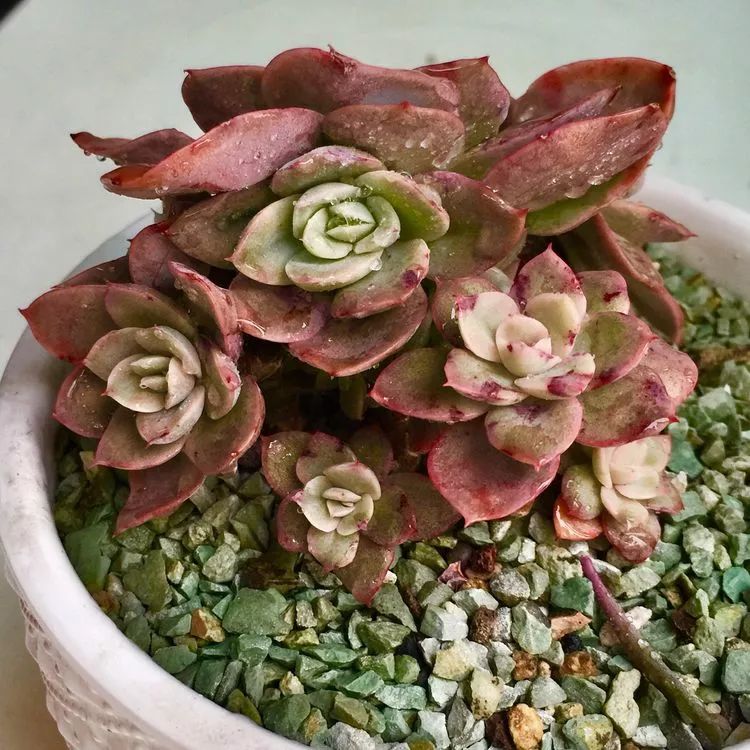 记录走过的美景留下美好的回忆,记录走过的每一段美好时光