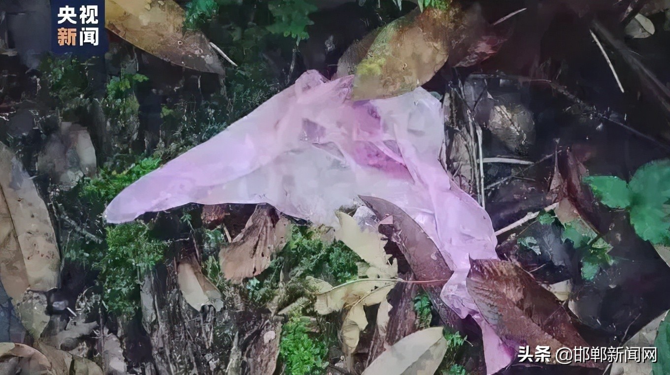 邯郸最新任免7人,邯郸市新任免通知