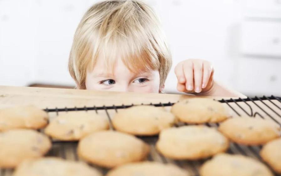什么零食不是垃圾食品可以吃的,可以吃且对孩子有营养的零食