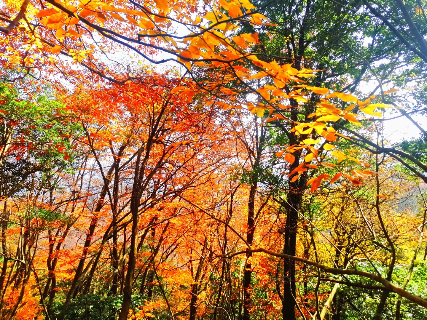 行摄山水视频大全,行摄美景