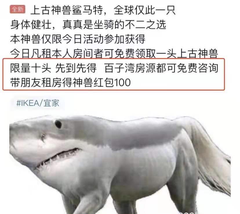 闲鱼怎样不被坑,闲鱼上的东西被人黑了