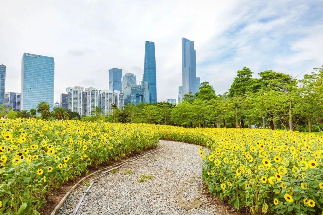 广州花都公园景点地图 (花都旅游景点分布图高清版)