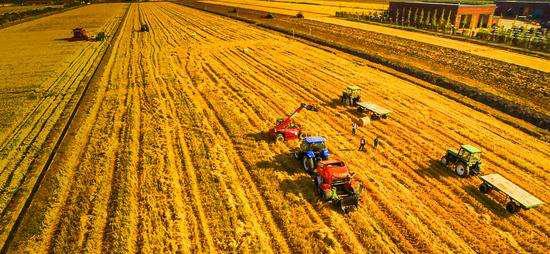 购买二手农用机械防骗手册，一不小心会吃亏上当