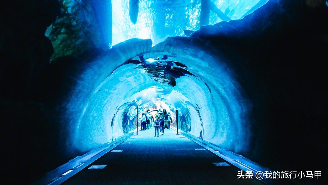 迪拜游玩攻略,去迪拜游玩最省钱的攻略