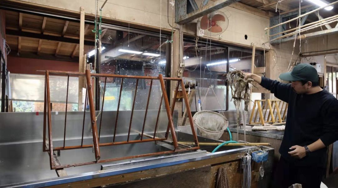 佐贺在日本的地理位置,佐贺市有什么好玩的地方推荐