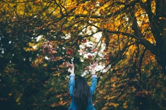 刁问妙答,刁问妙答经典100例