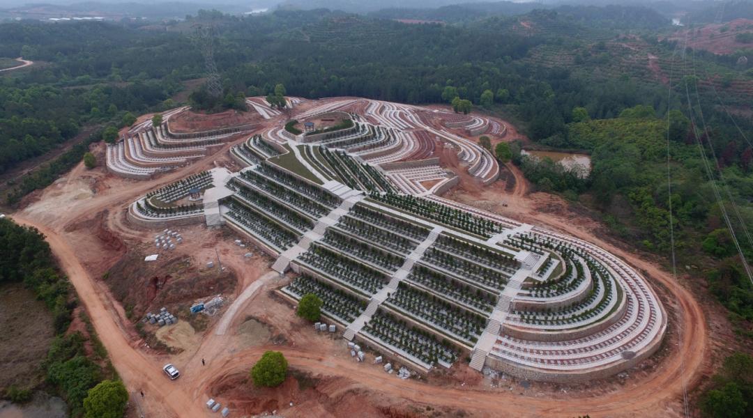 砥砺奋进新征程总结,乡镇乡村振兴先进事迹材料