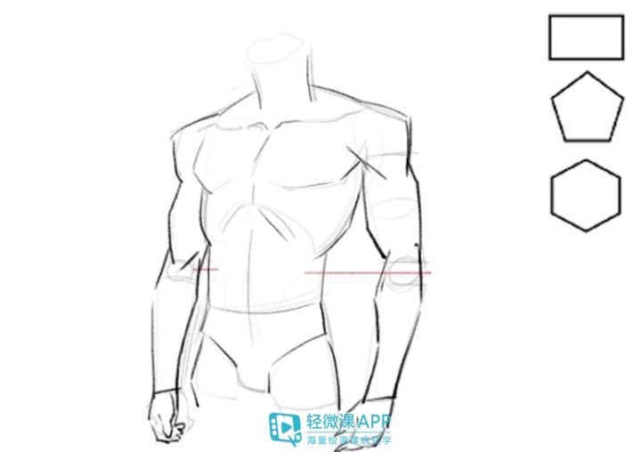 漫画人体结构怎么画,人体面部肌肉结构怎么画