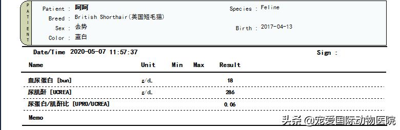 难以言说的疼完整版,猫咪肾结石的症状都有什么