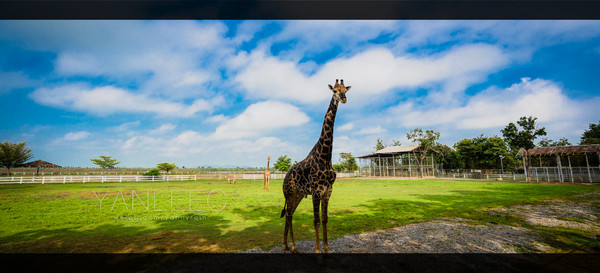 泰国旅游漫游,最新鲜玩转泰国攻略