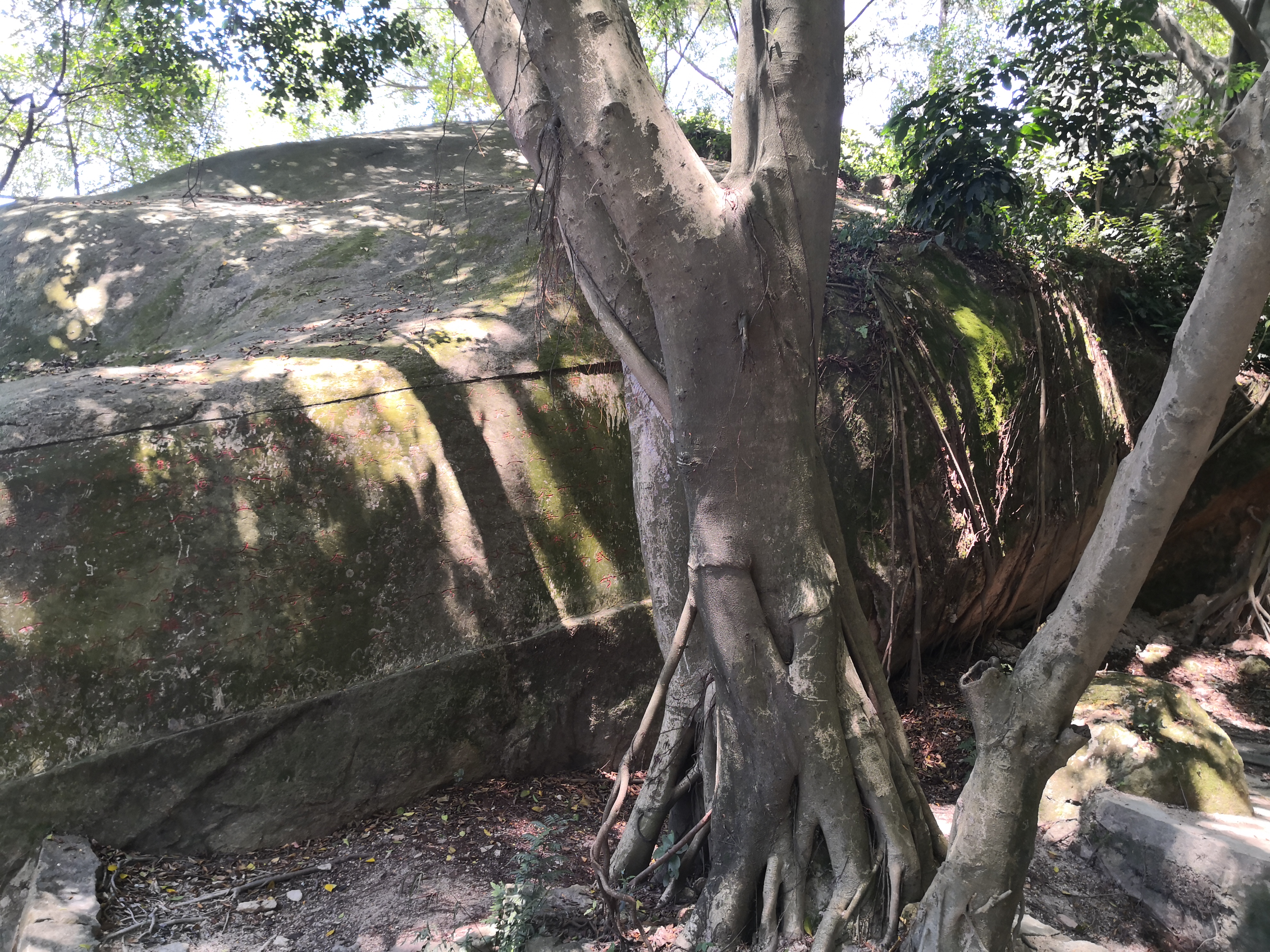 云洞岩鹤鸣楼,云洞岩鹤室介绍