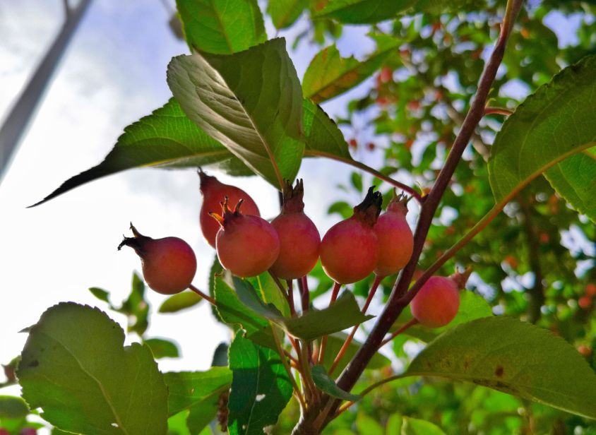 众创网校简介,众创网校官网