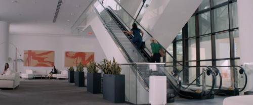 姐妹老板,电影舞台姐妹