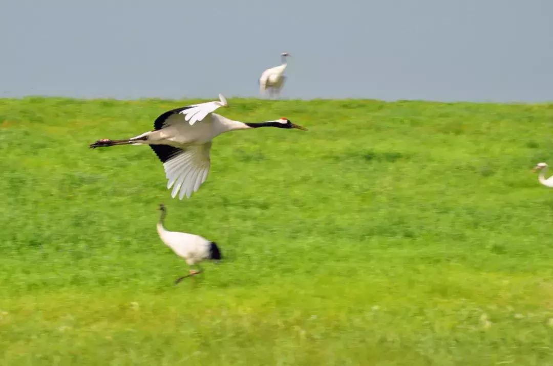 10个闺蜜，历时22天，沿着中俄边境跑了8100公里，刺激！（一）