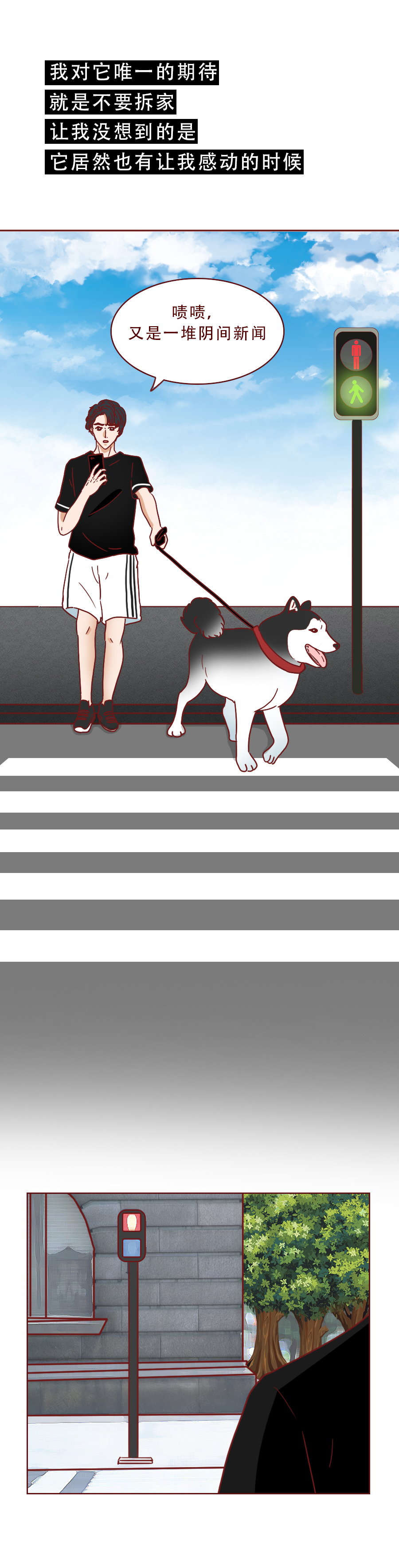 捡回来抑郁的猫,捡回一只小猫原居民抑郁了