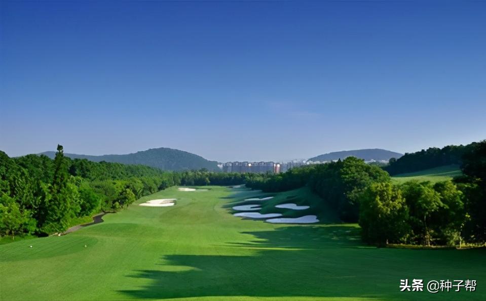 高尔夫球场常用的草坪,高尔夫球场果岭是什么草