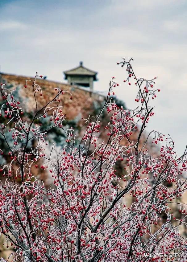 泰山美图100张,泰山云海美图