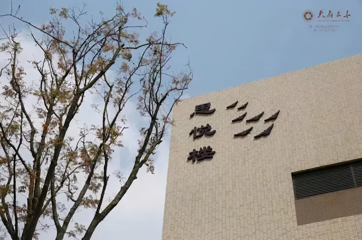 成都小学五朵金花是哪些,成都十大金花小学