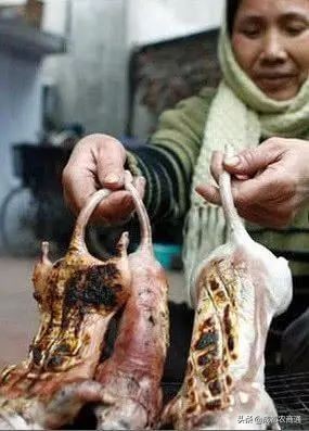 防治鼠害,鼠害的防治方法